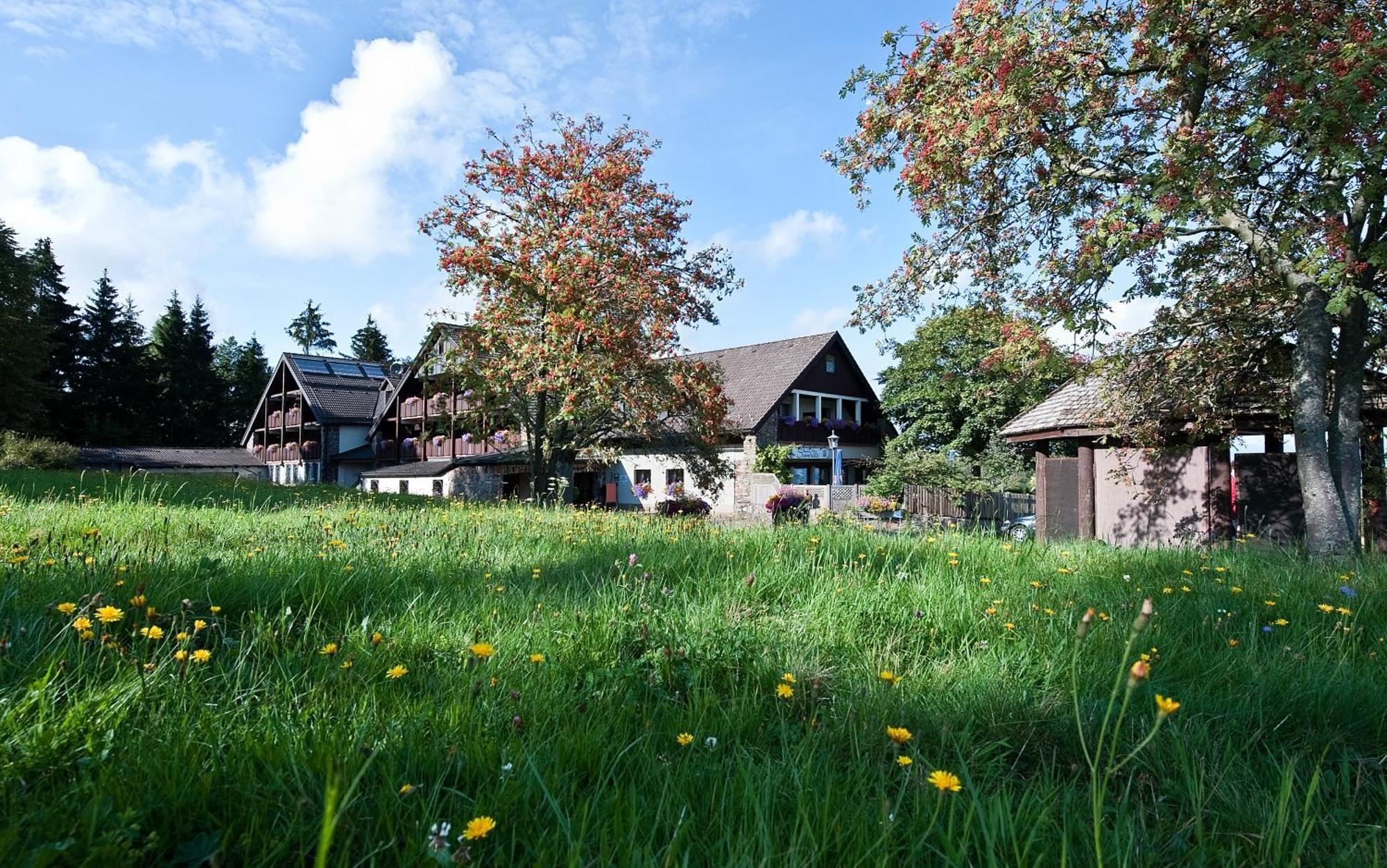Berggasthof & Hotel Sennhuette ฟลาดุงเงน ภายนอก รูปภาพ
